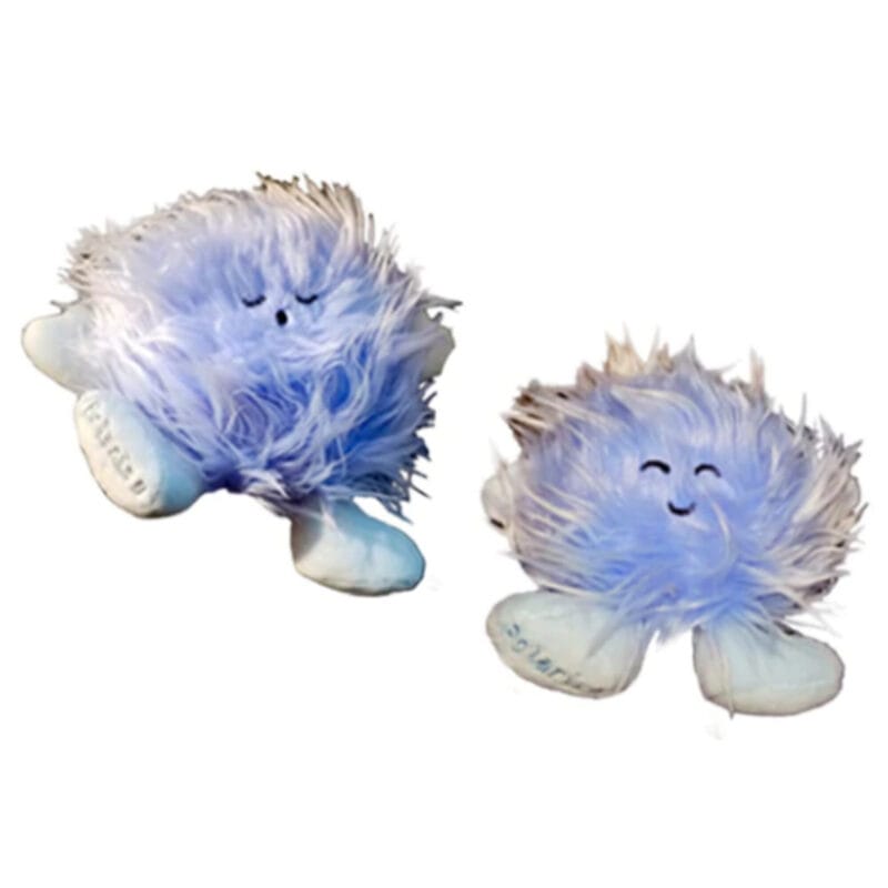 Celestial Buddies Two Little Stars Polaris Ab and B Telescoop.nl - Alles voor sterrenkijken & natuurwaarneming