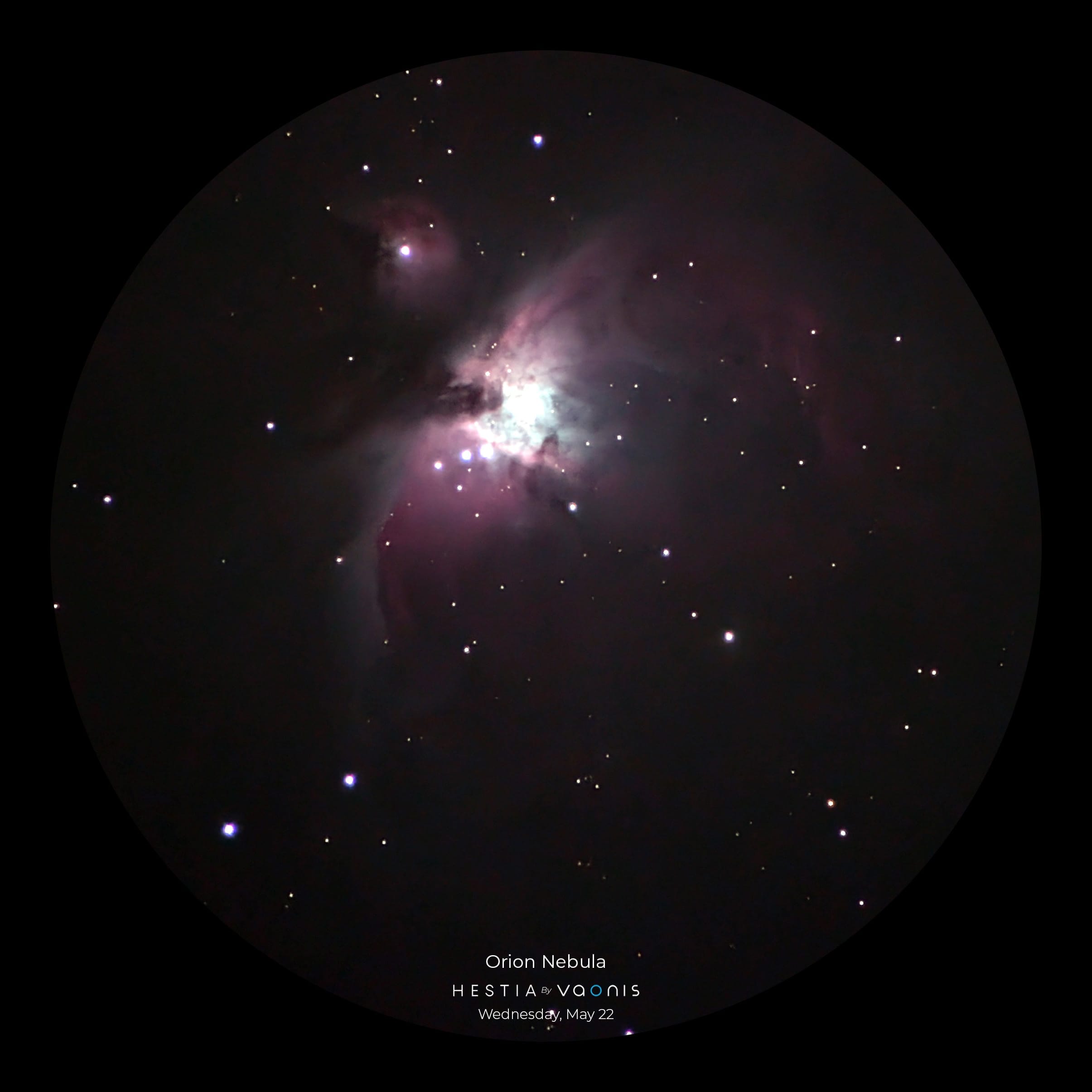 Hestia Deep sky mode Orion Nebula1 Telescoop.nl - Alles voor sterrenkijken & natuurwaarneming