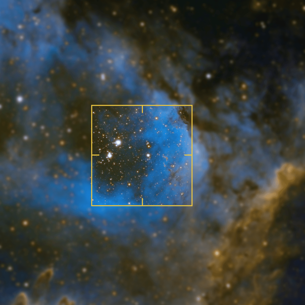 s50 autofocus tracking Telescoop.nl - Alles voor sterrenkijken & natuurwaarneming