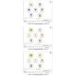 Omegon-Pro-Coma-Corrector-3-0-85x (8)