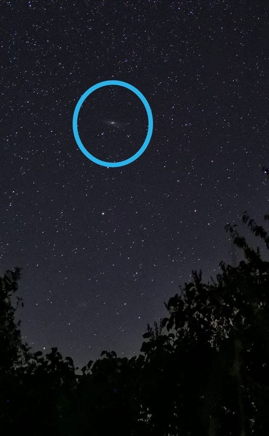 andromeda in the sky Telescoop.nl - Alles voor sterrenkijken & natuurwaarneming