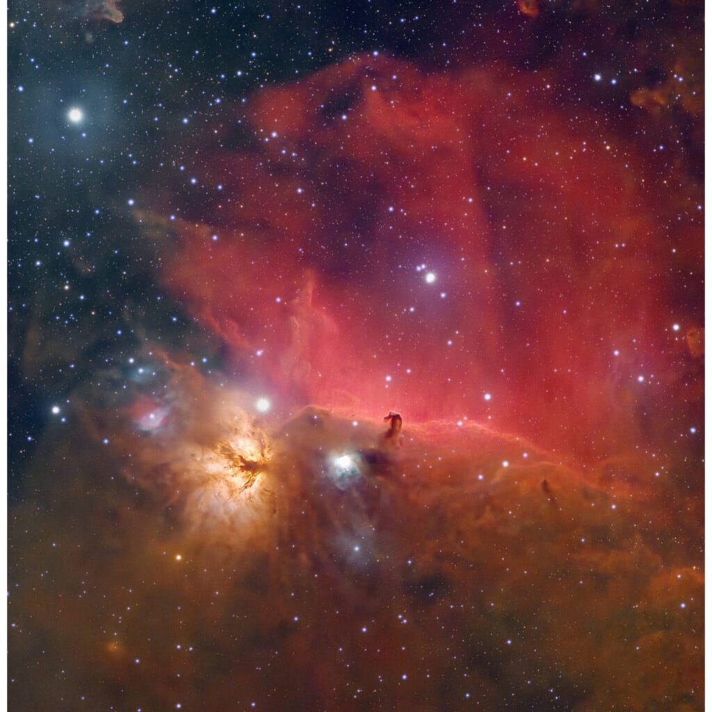 Paardenkop nevel vastgelegd